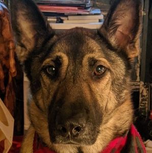 Meet your Posher, Anna-kat